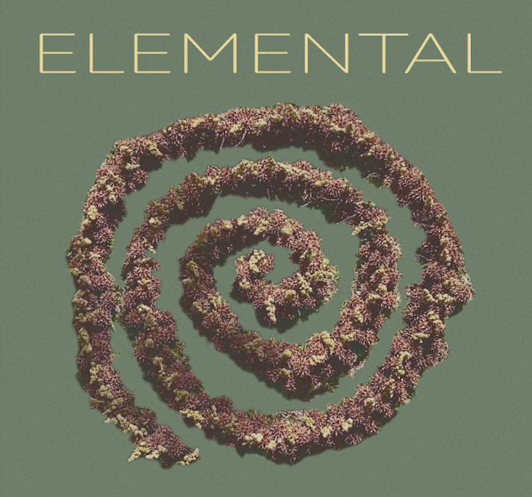 elemental exhibition poster