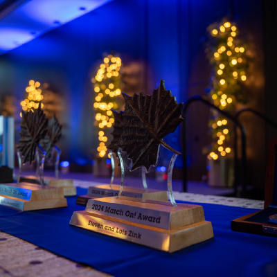 Award with lights in the background