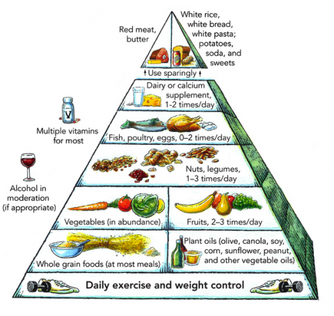The rave diet food pyramid